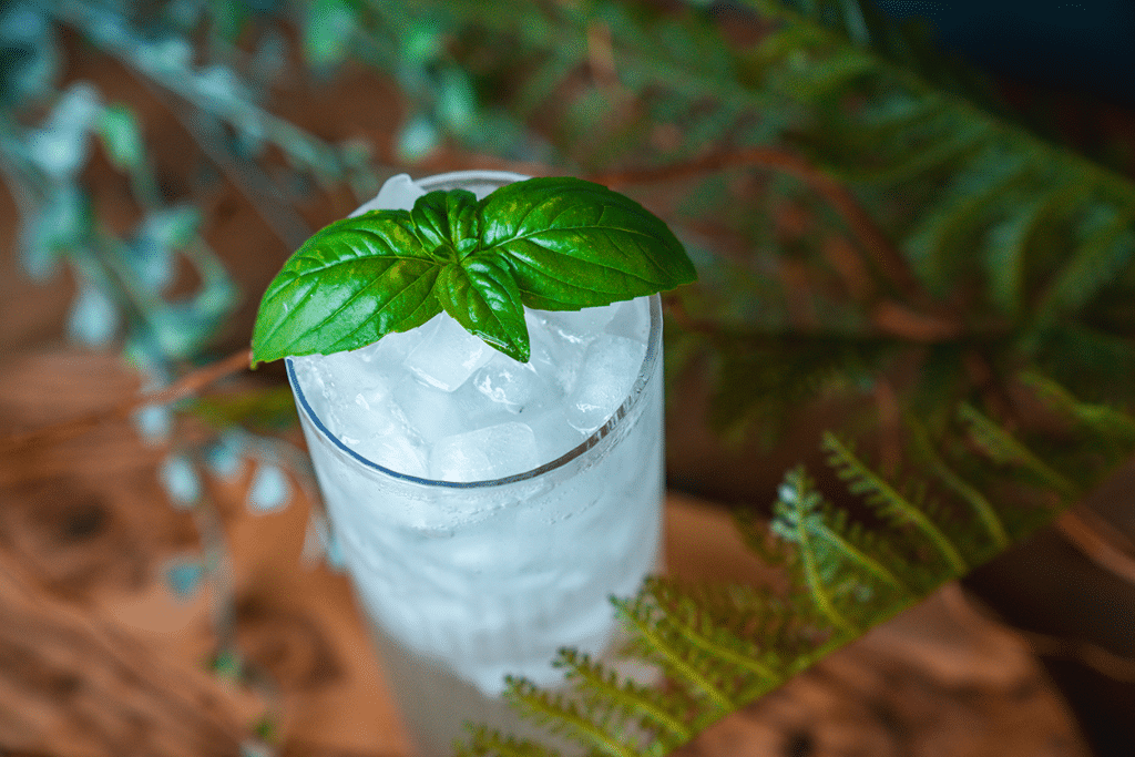 Orange Blossom Basil Fizz