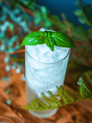 Orange Blossom Basil Fizz cocktail recipe