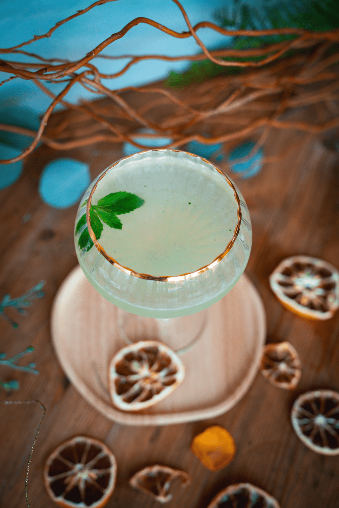 Orange Blossom Southside Cocktail Recipe