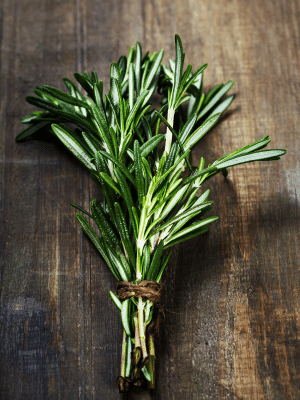 Fresh bunch of rosemary