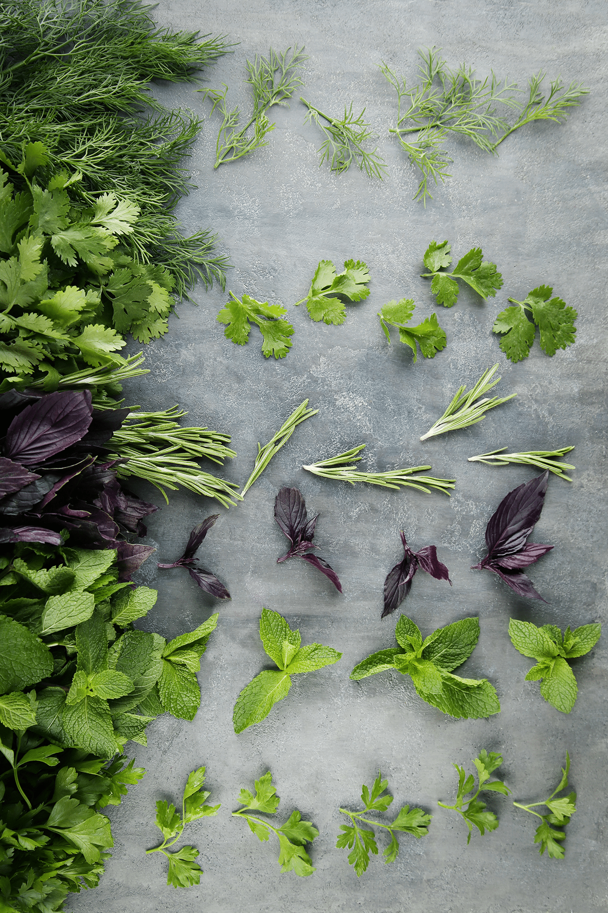 Herbs in Cocktails