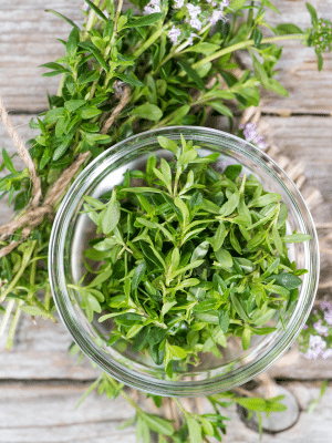 Winter Savory