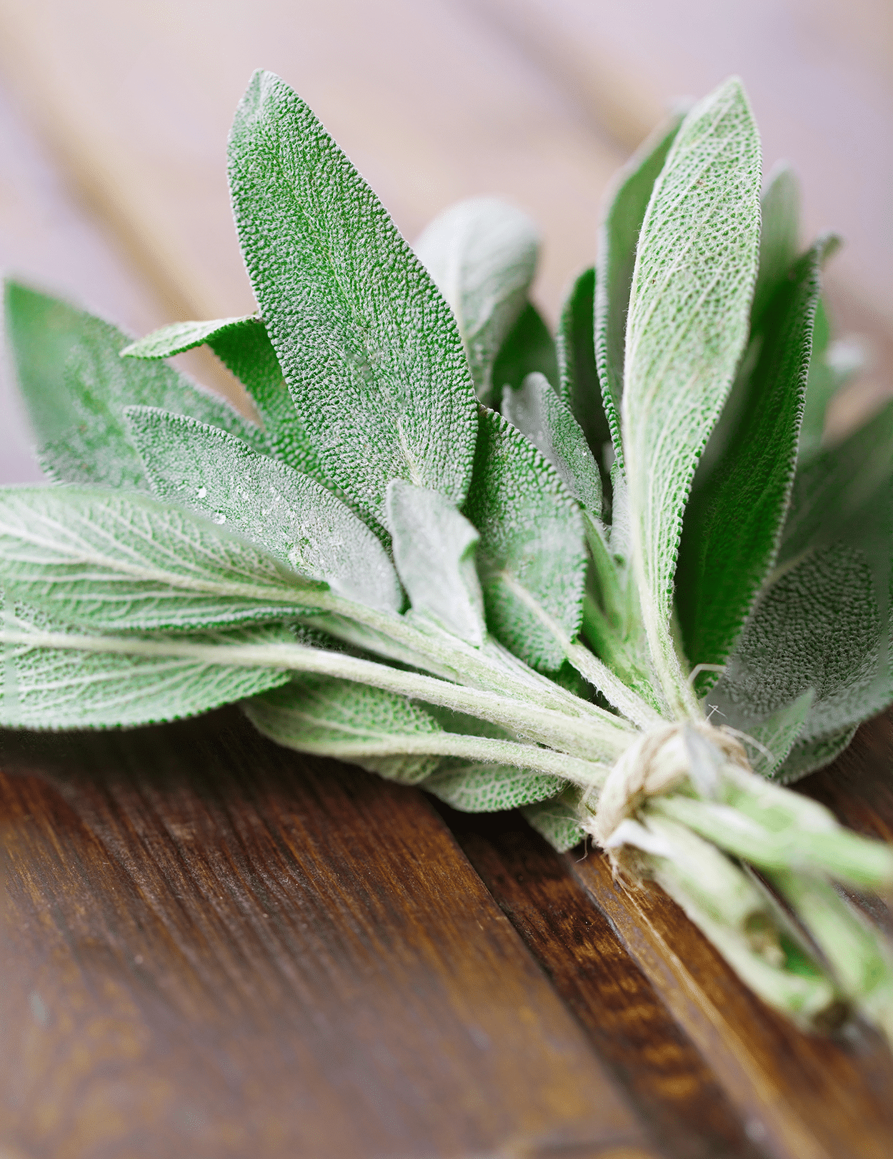 Sage for cocktails