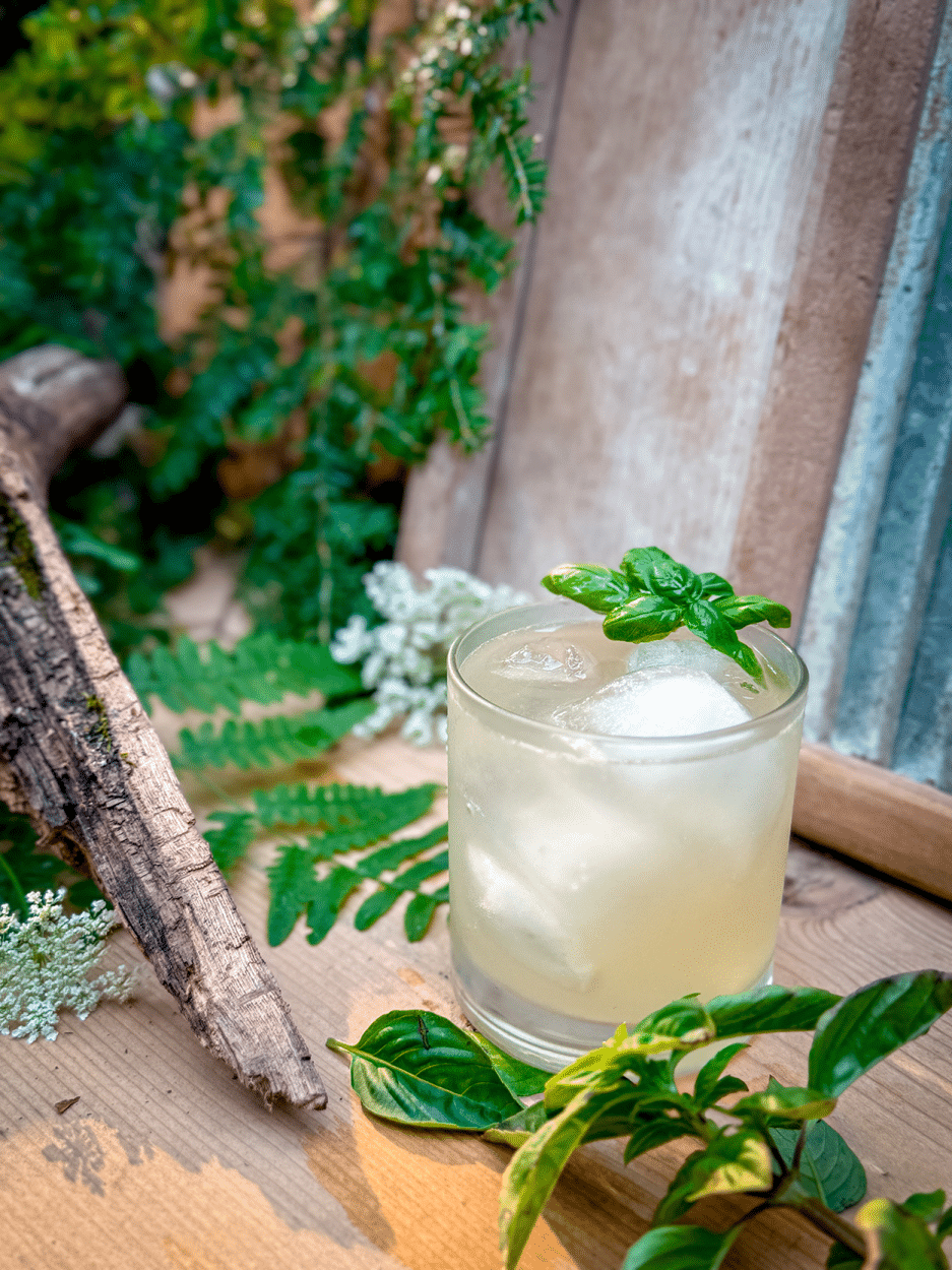 Basil Gin Smash