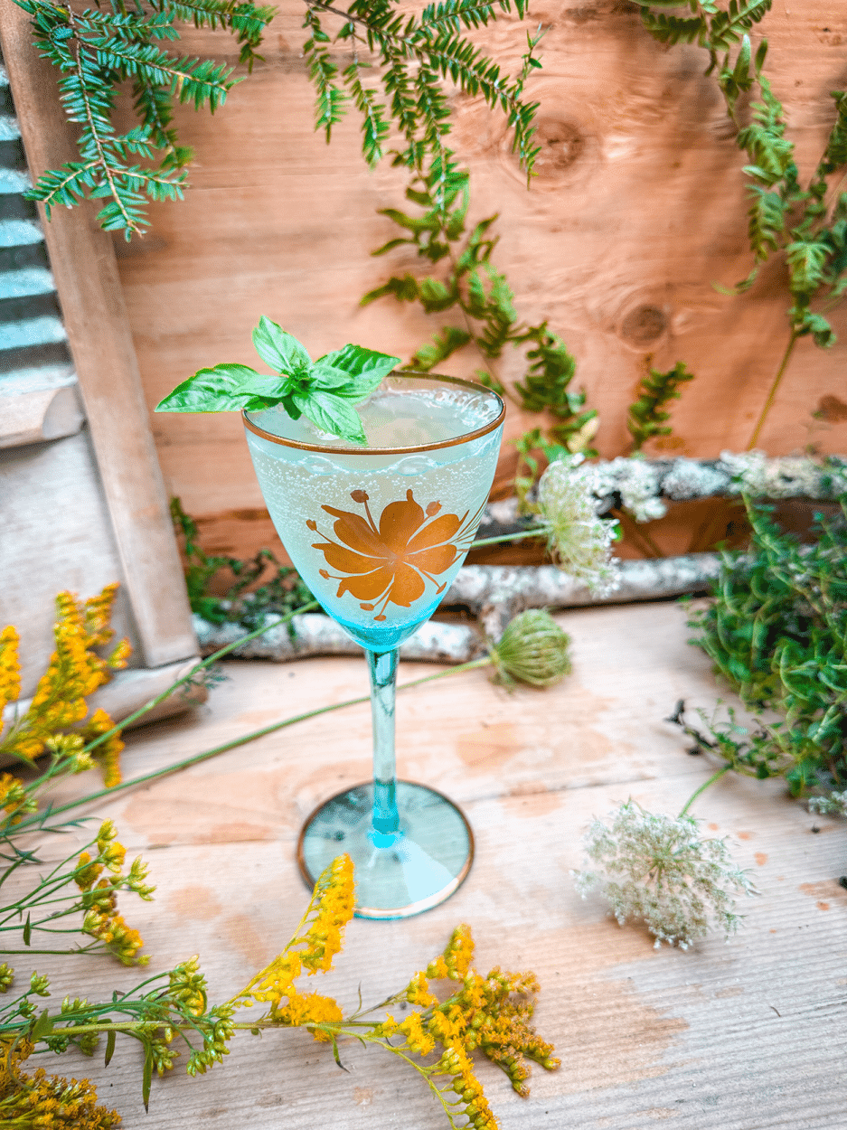 Herb Garden Spritz (Basil Spritz)