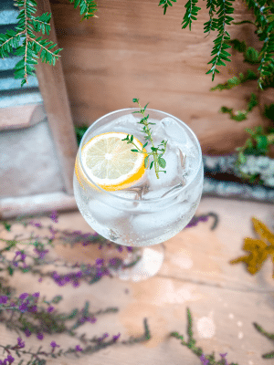 Lemon Thyme Spritz cocktail recipe