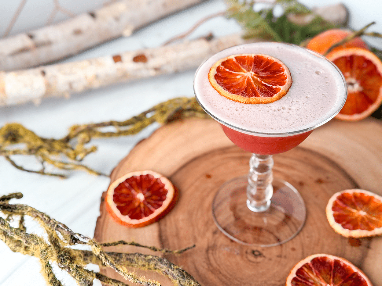 Blood Orange Bourbon Sour cocktail recipe