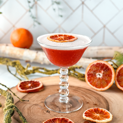 Blood Orange Bourbon Sour cocktail recipe