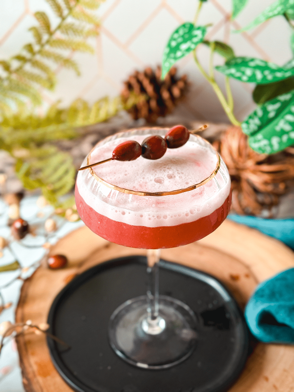 Cranberry Whiskey Sour cocktail recipe