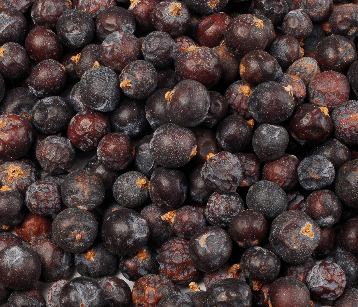 Juniper Berries