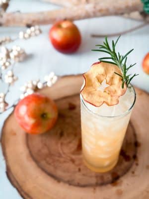 Apple Rosemary Gin Fizz cocktail recipe