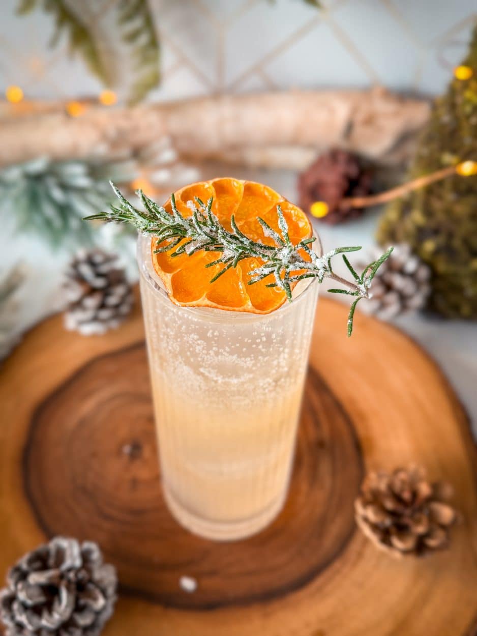 Citrus Rosemary Gin Fizz