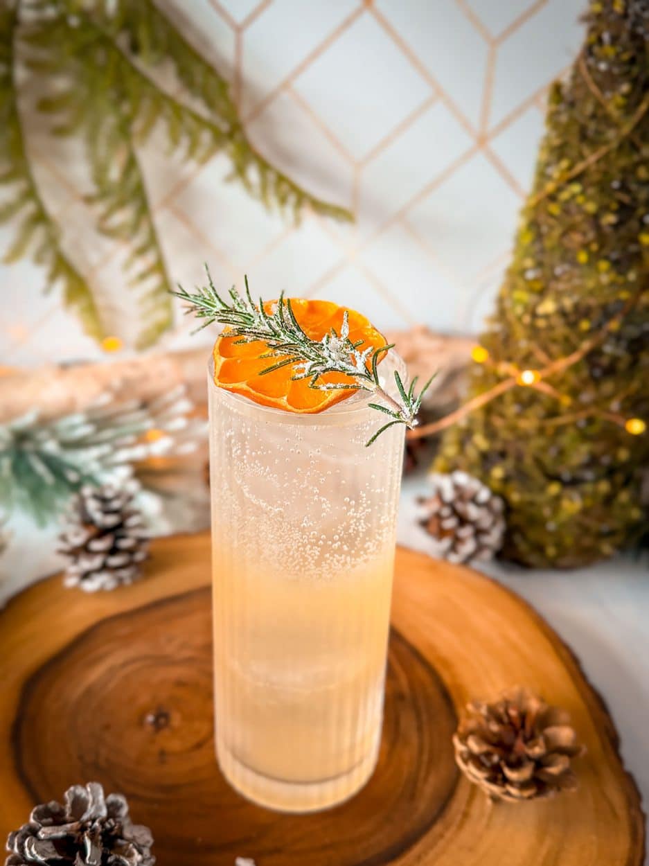 Citrus Rosemary gin fizz cocktail recipe