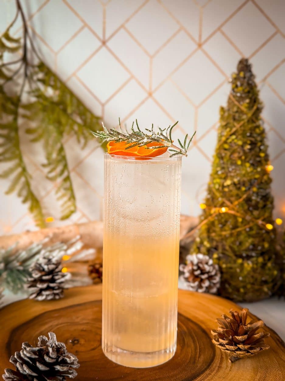 Citrus Rosemary gin fizz cocktail recipe