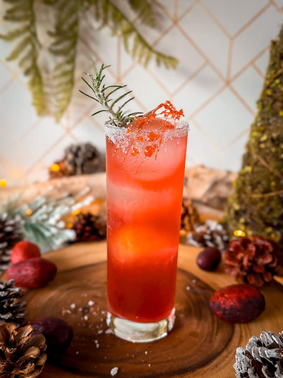 cranberry rosemary gin smash cocktail recipe