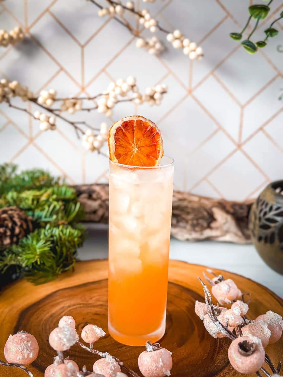 Plum Cinnamon Spritz cocktail recipe