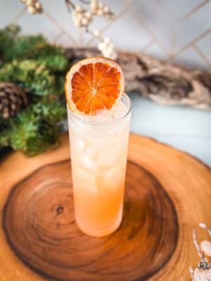 Plum Cinnamon Spritz cocktail recipe