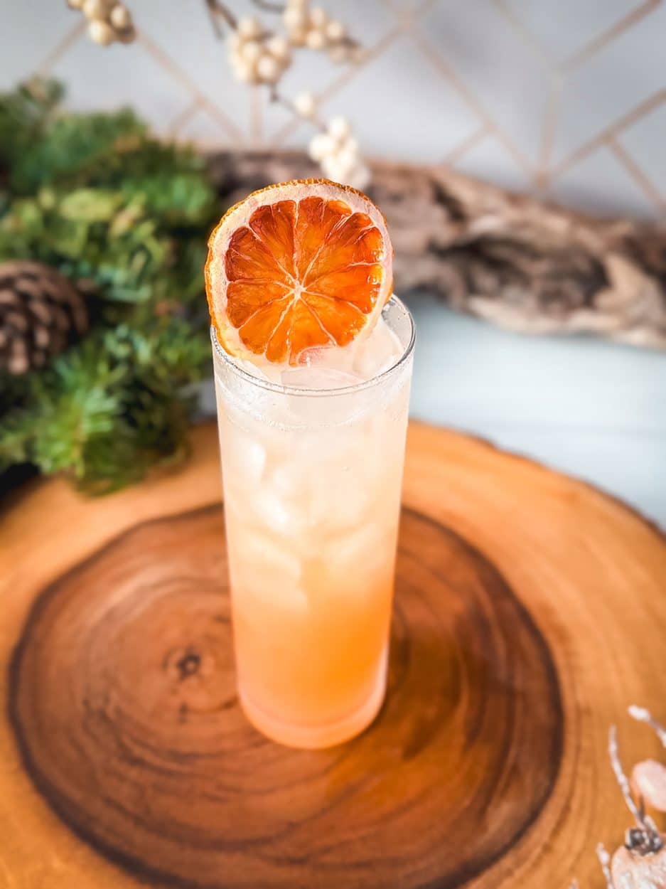 Plum Cinnamon Spritz cocktail recipe