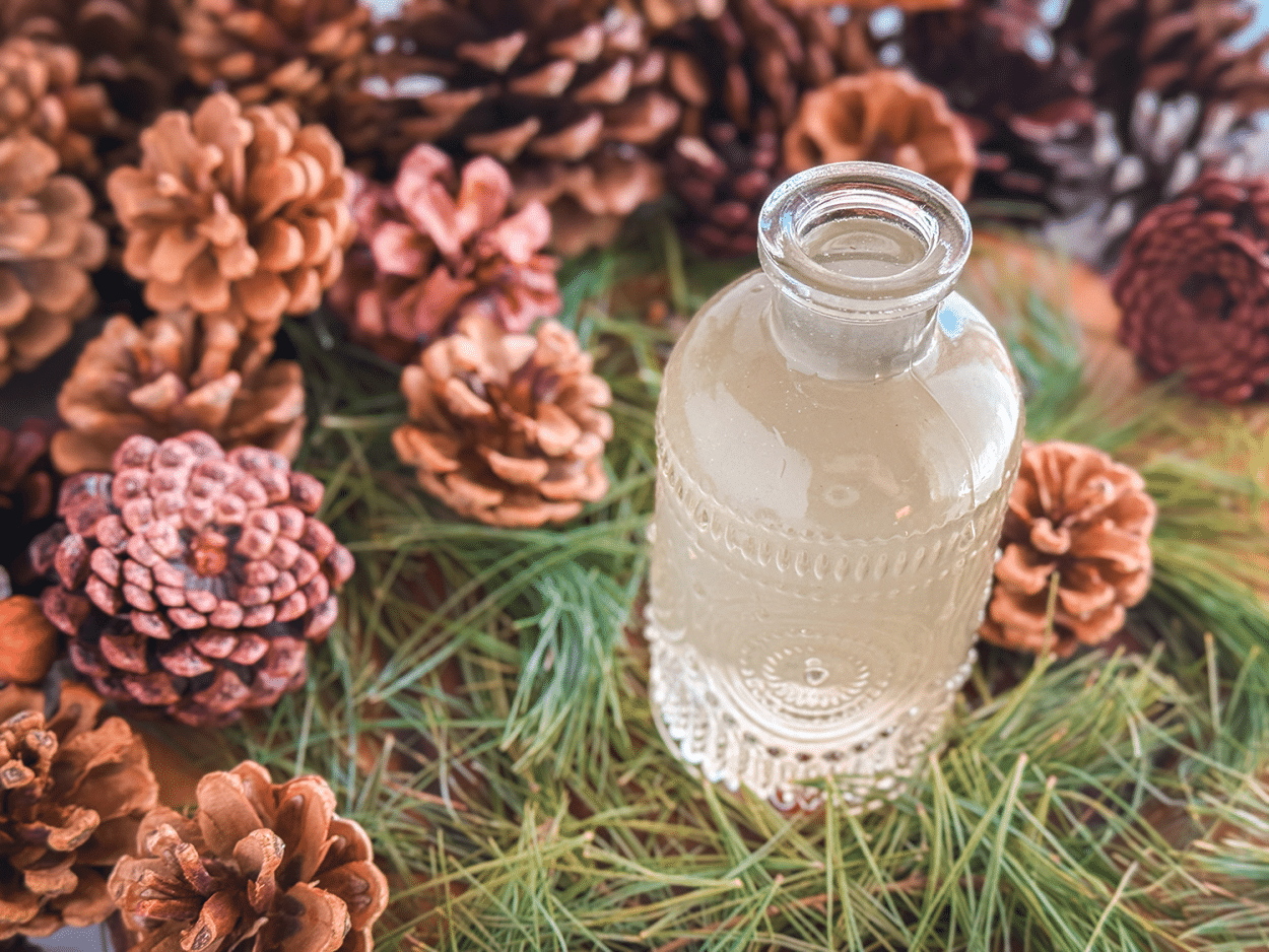 Pine Needle Simple Syrup Recipe