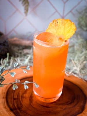 Cactus Cooler Collins cocktail recipe