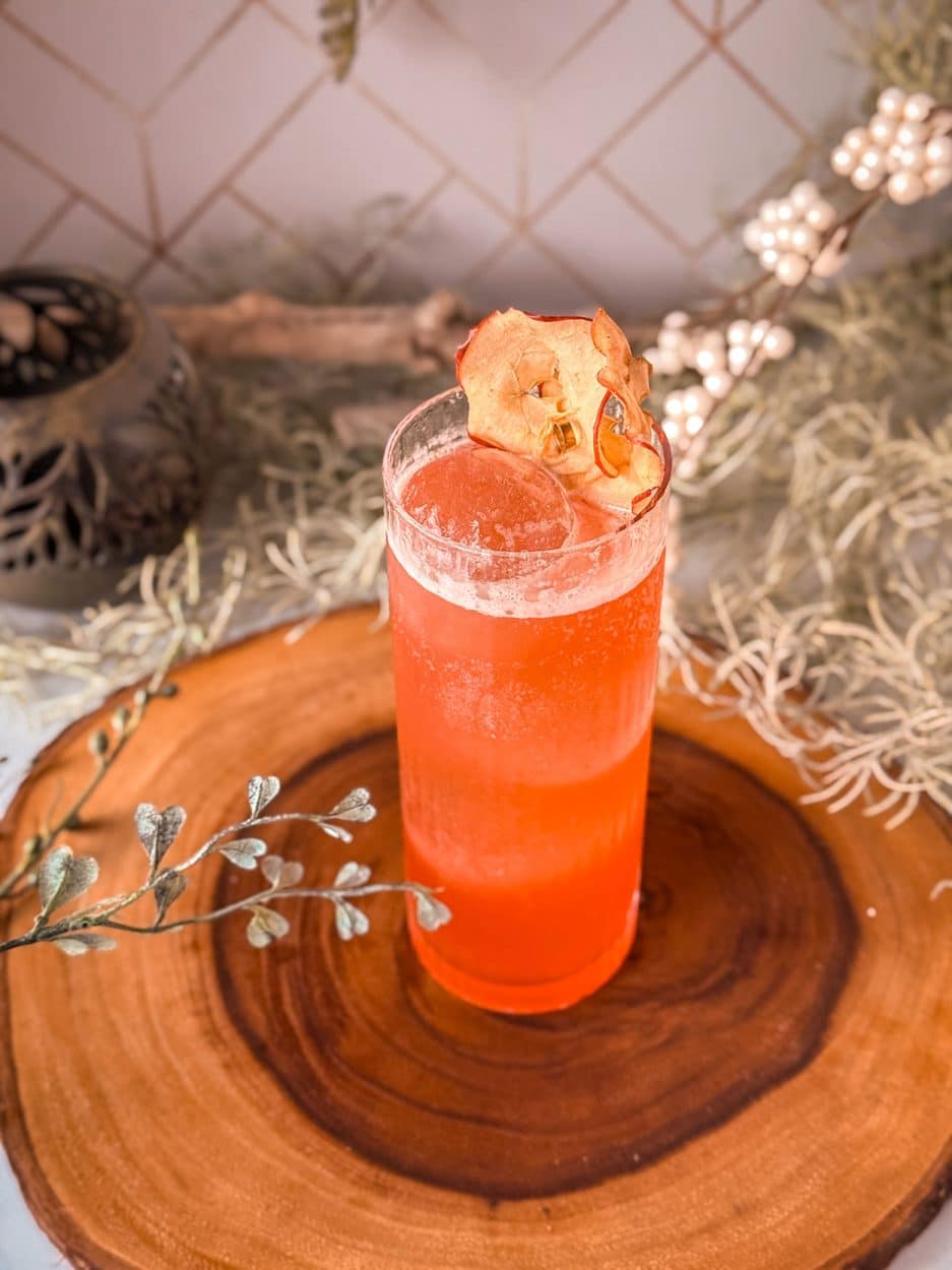 Cactus Orchard Fizz cocktail recipe