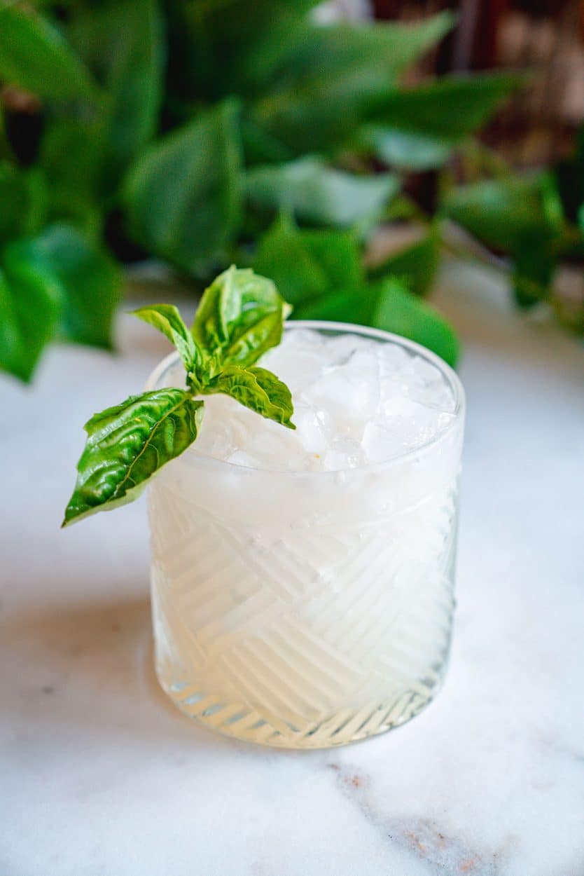 Gin and Lemonade cocktail recipe