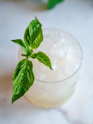 Gin and Lemonade cocktail recipe