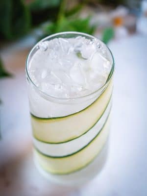 Gin and Soda cocktail recipe