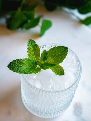 Gin and Sprite cocktail recipe