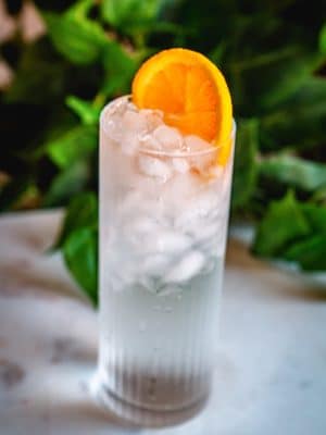 Gin and Tonic cocktail recipe