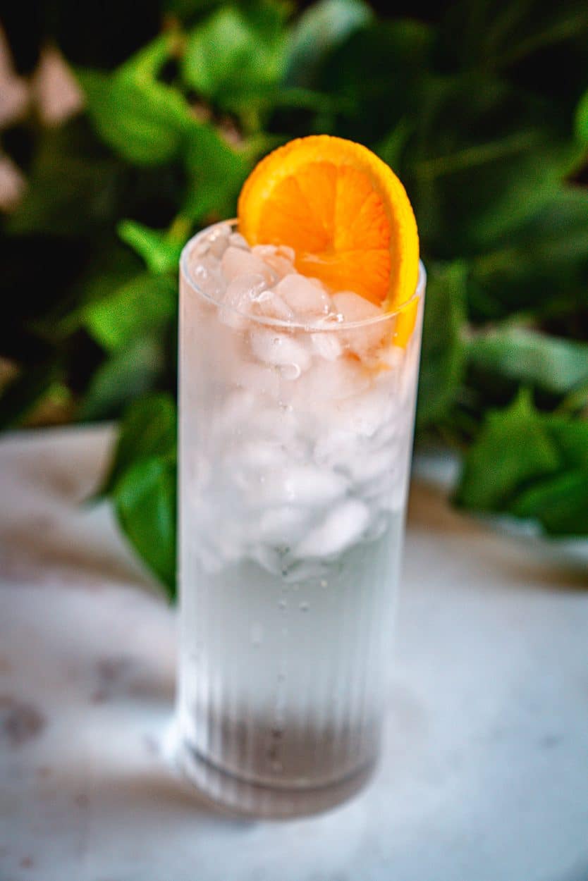 Gin and Tonic cocktail recipe