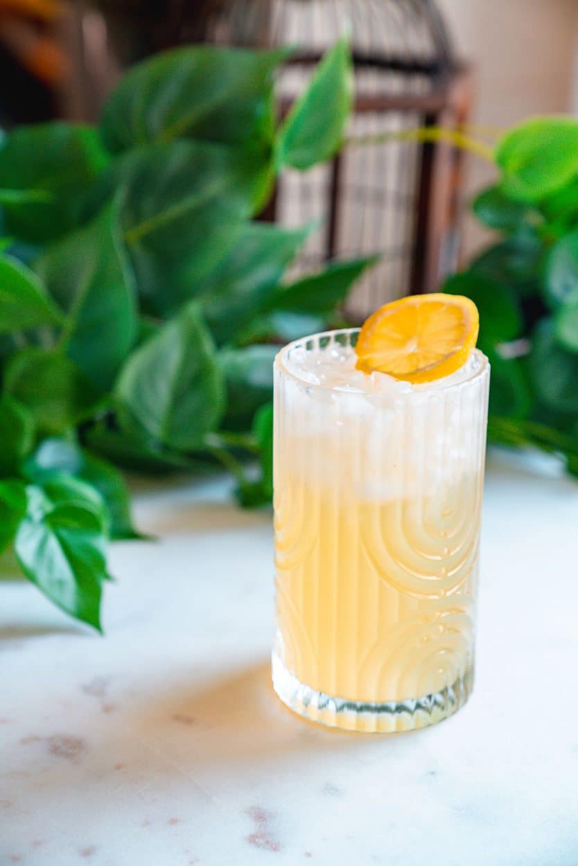 Rum Lemonade cocktail recipe