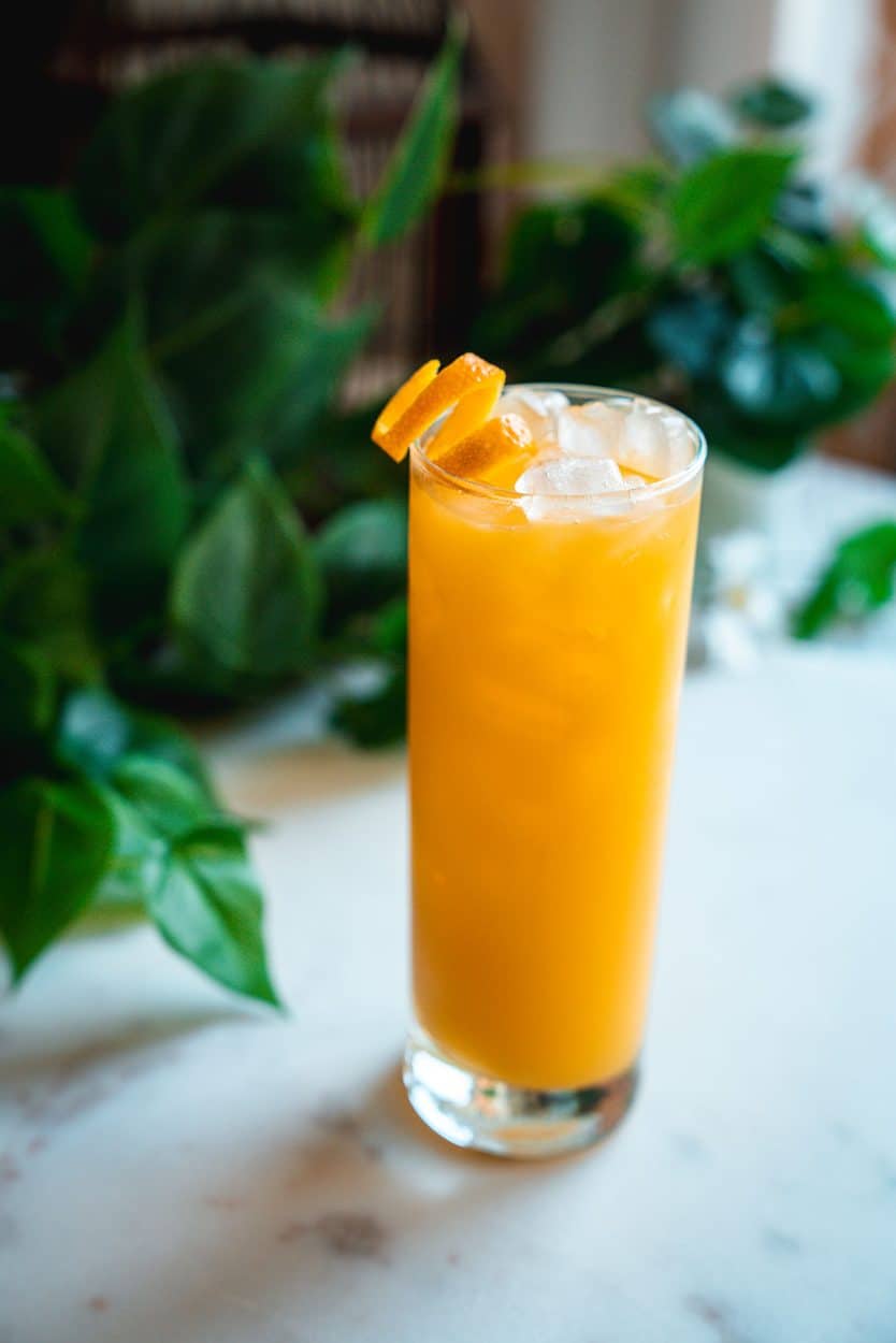 Screwdriver cocktail recipe