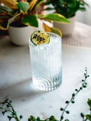 Tequila Soda cocktail recipe