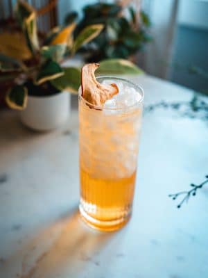 Vodka Apple cocktail recipe