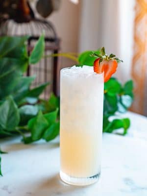 Vodka Lemonade cocktail recipe