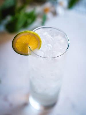 Vodka Tonic cocktail recipe